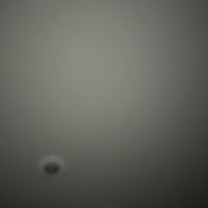 Meet your Posher, Kyler